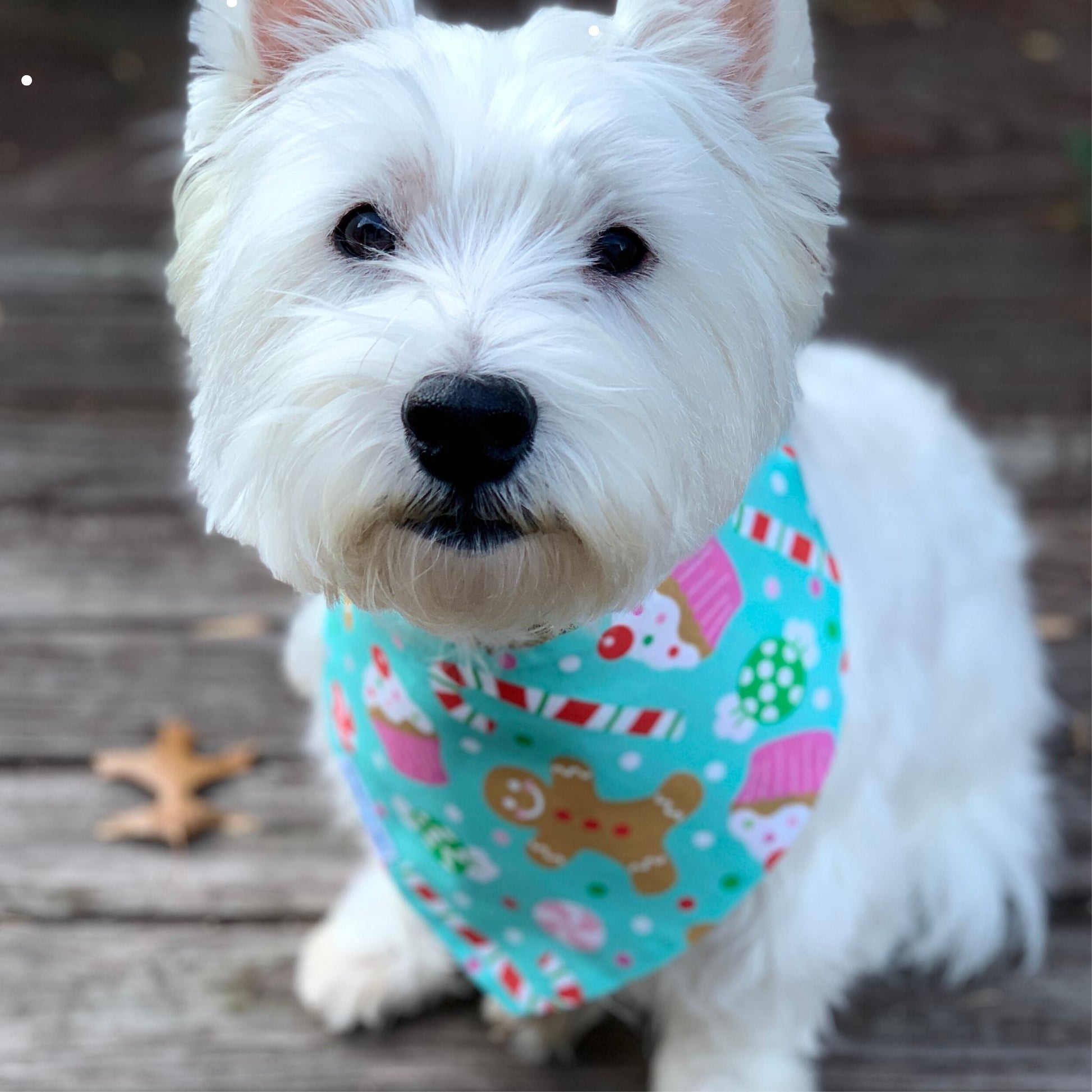 Bandana per cani - Dolcetti di Natale
