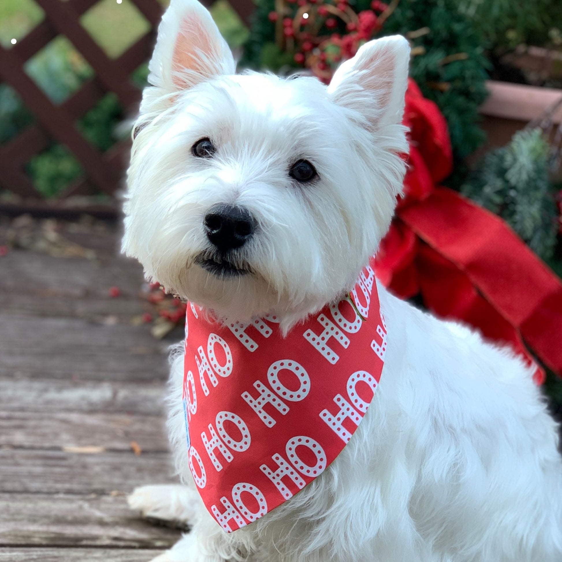 Bandana per cani - Ho Ho Ho