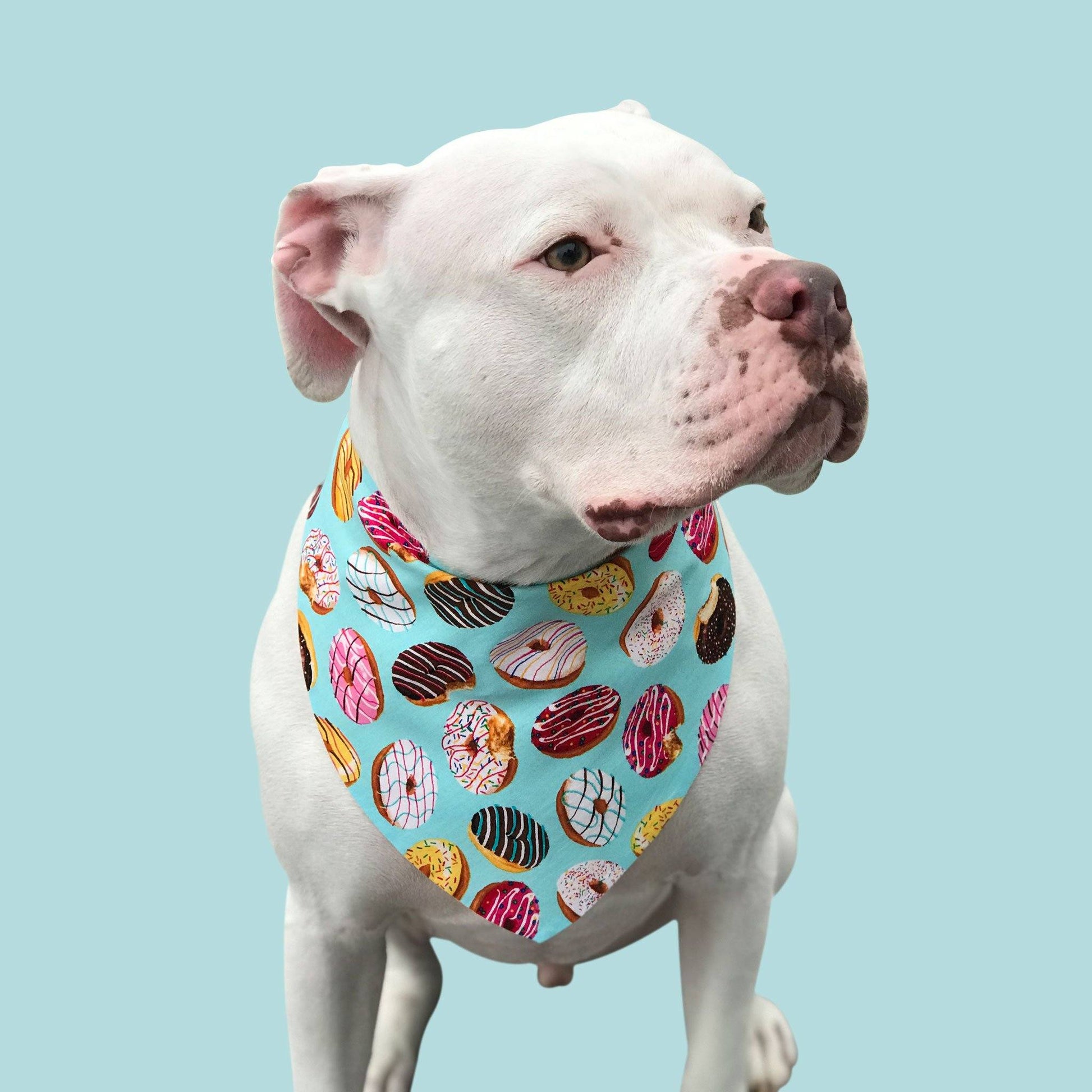 Bandana per cani - Donut Heaven