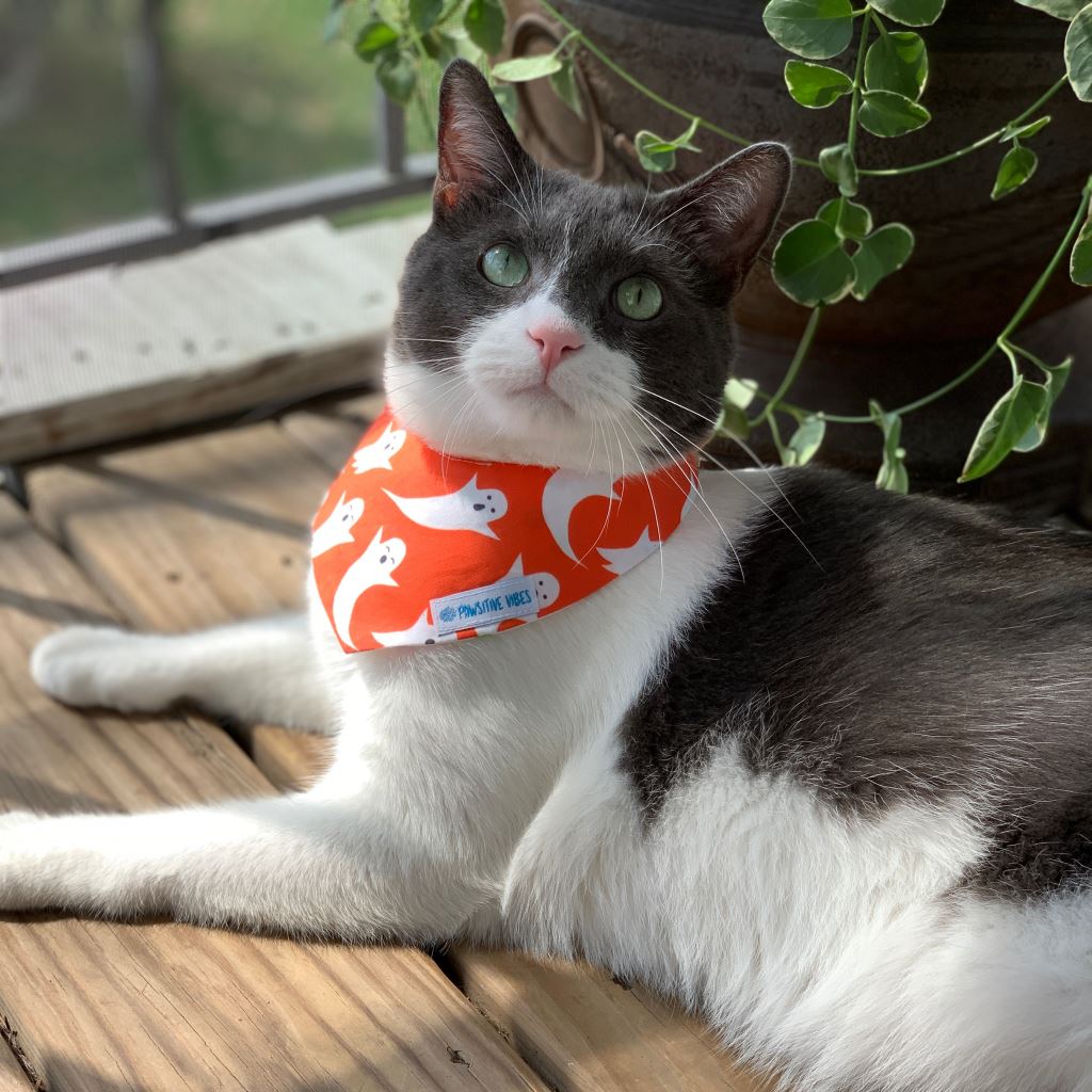 Bandana per cani - Happy Ghosts Reversibile