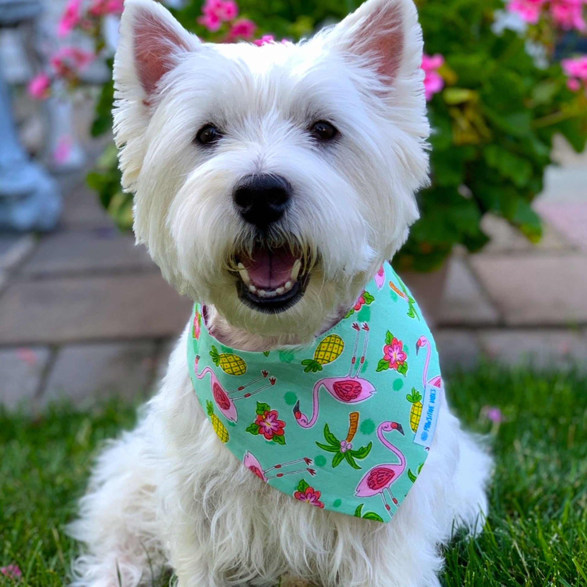 Bandana per cani - Flamingo Fun