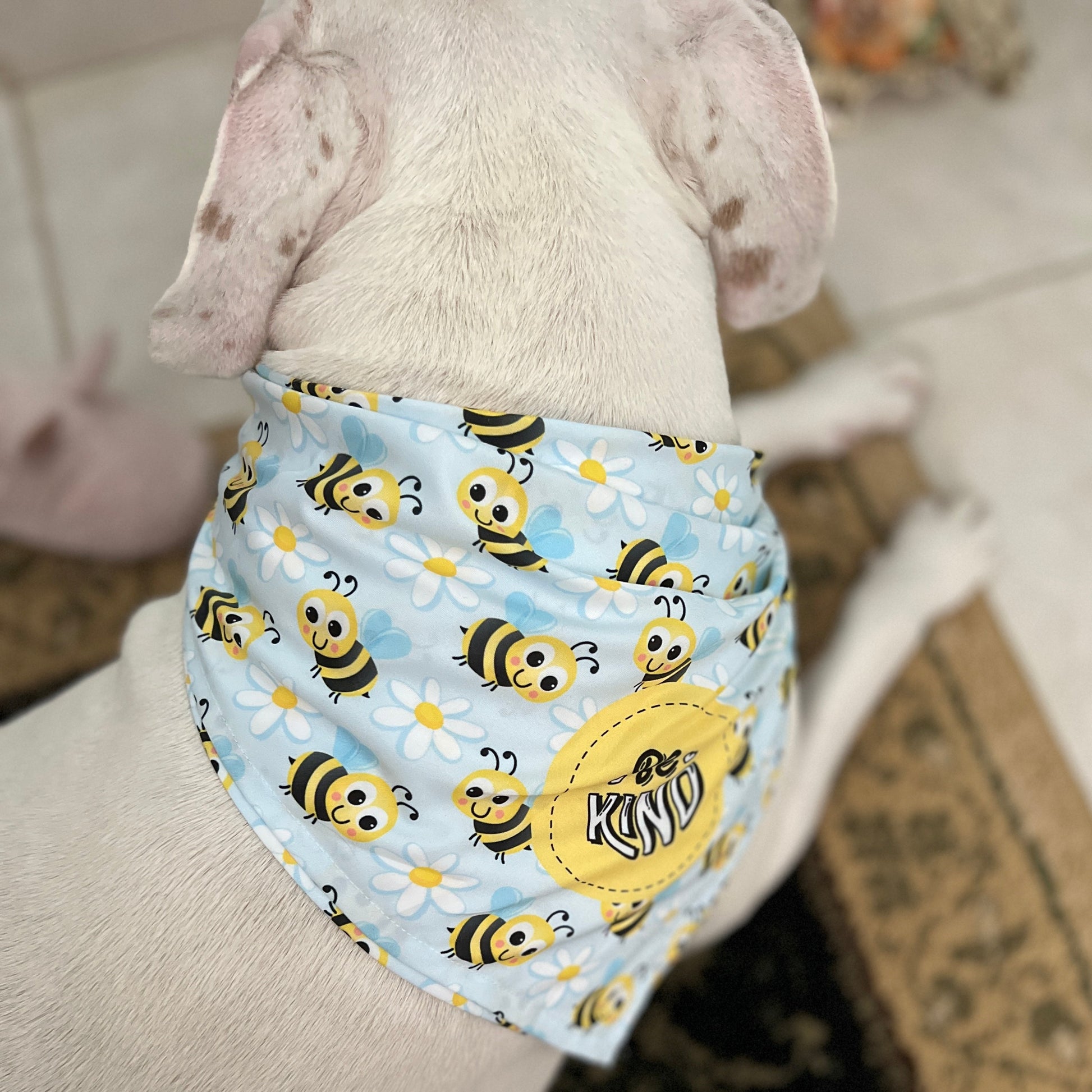 Bandana per cani - Be Kind Bees and Daisies