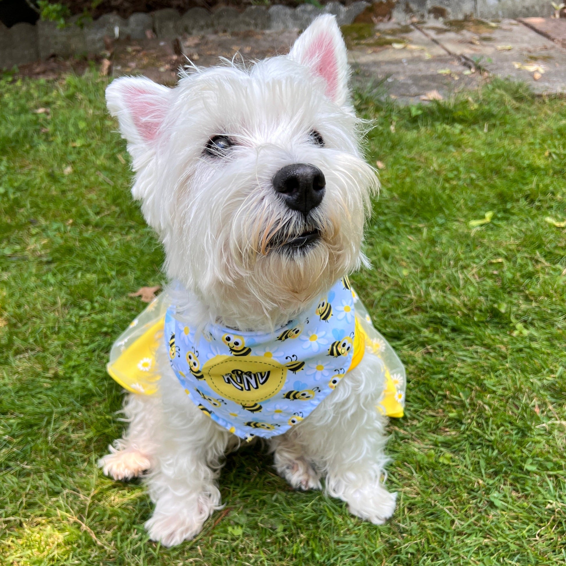 Bandana per cani - Be Kind Bees and Daisies