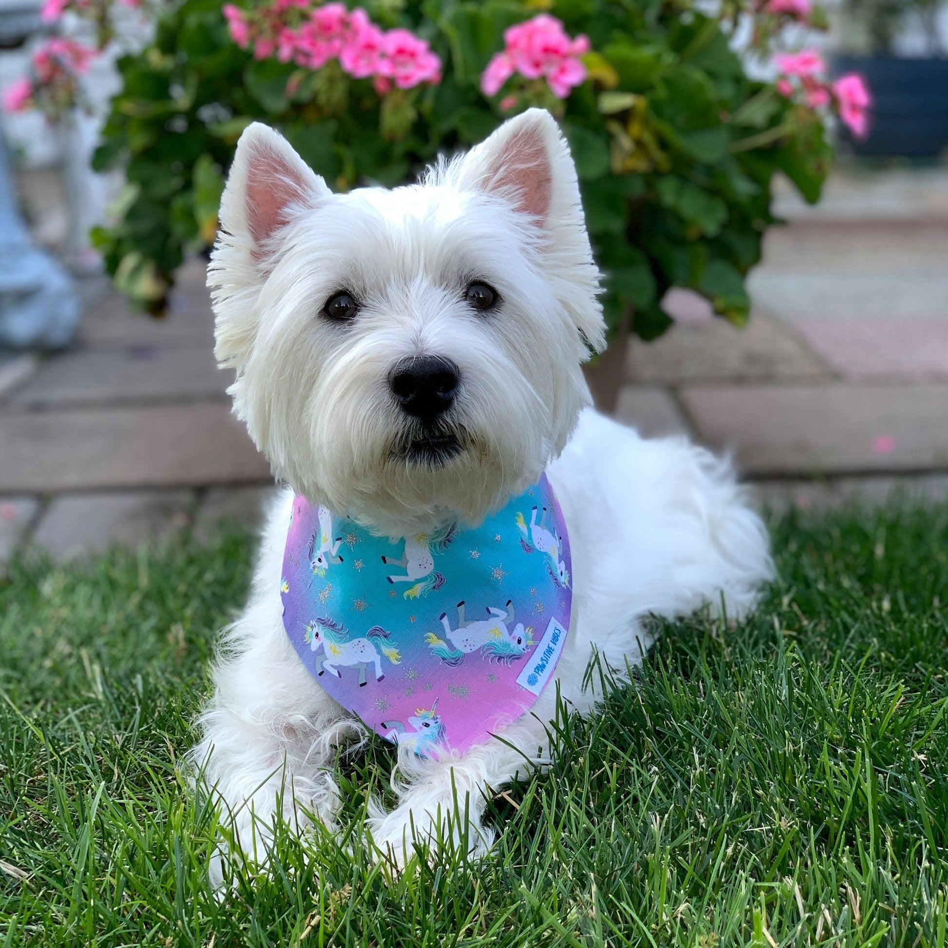 Bandana per cani - Unicorni magici