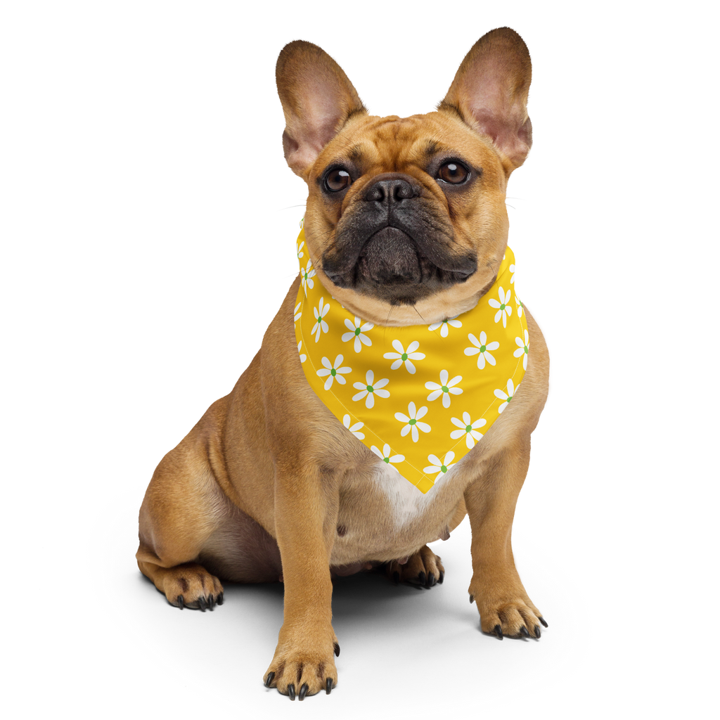 Bandana per cani - Margherita gialla