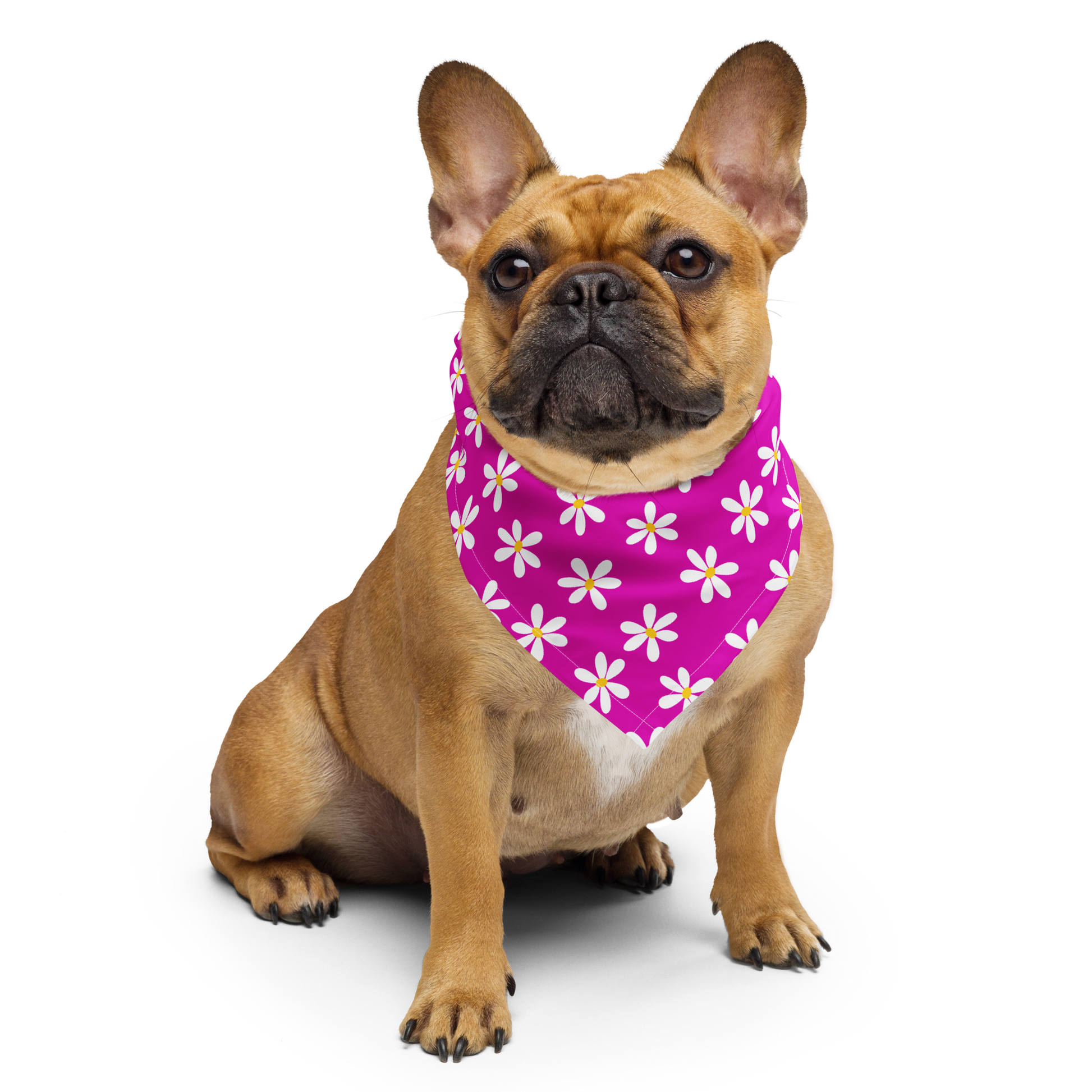 Bandana per cani - Margherita viola