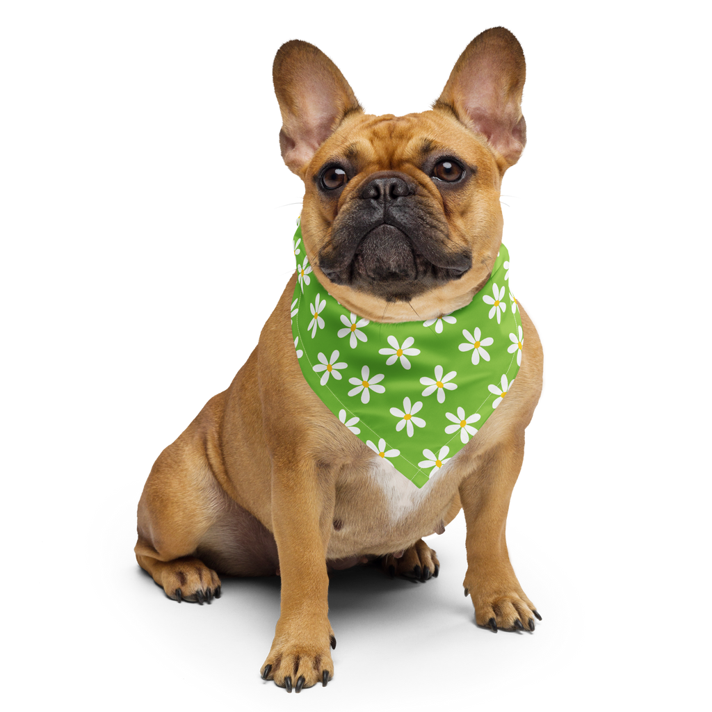 Bandana per cani - Margherita verde