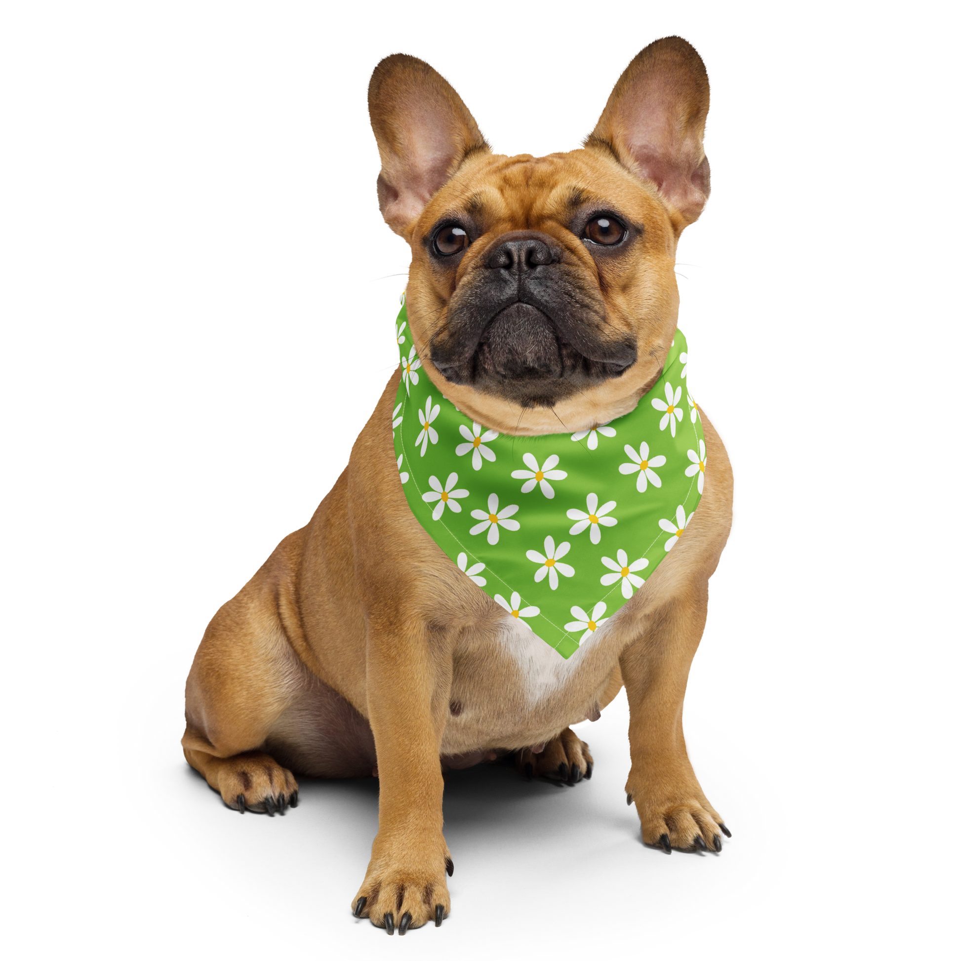 Bandana per cani - Margherita verde