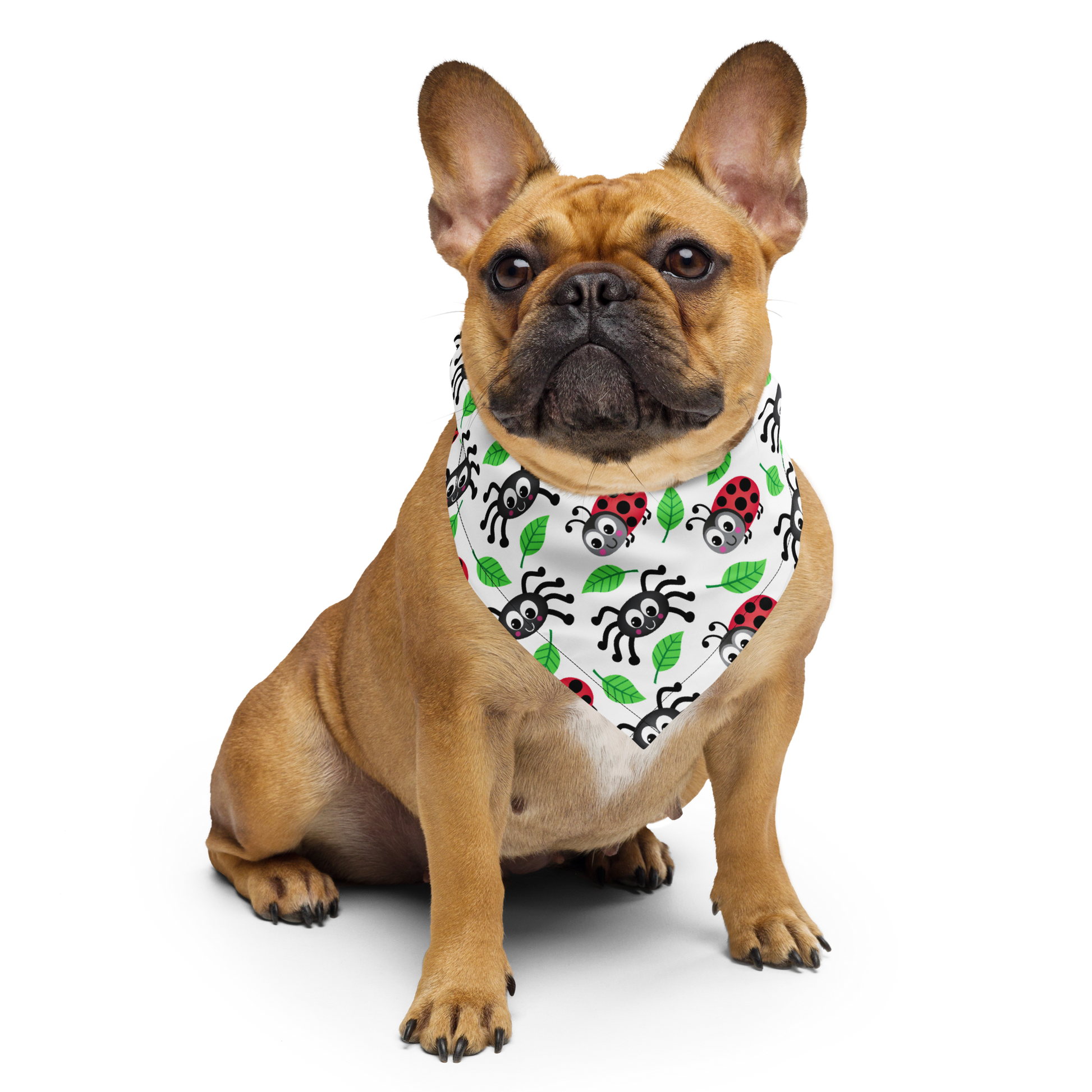 Bandana per cani - Ragni e coccinelle